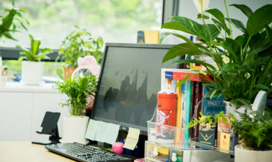 Những “góc xanh” dễ chịu tại FSB Hà Nội