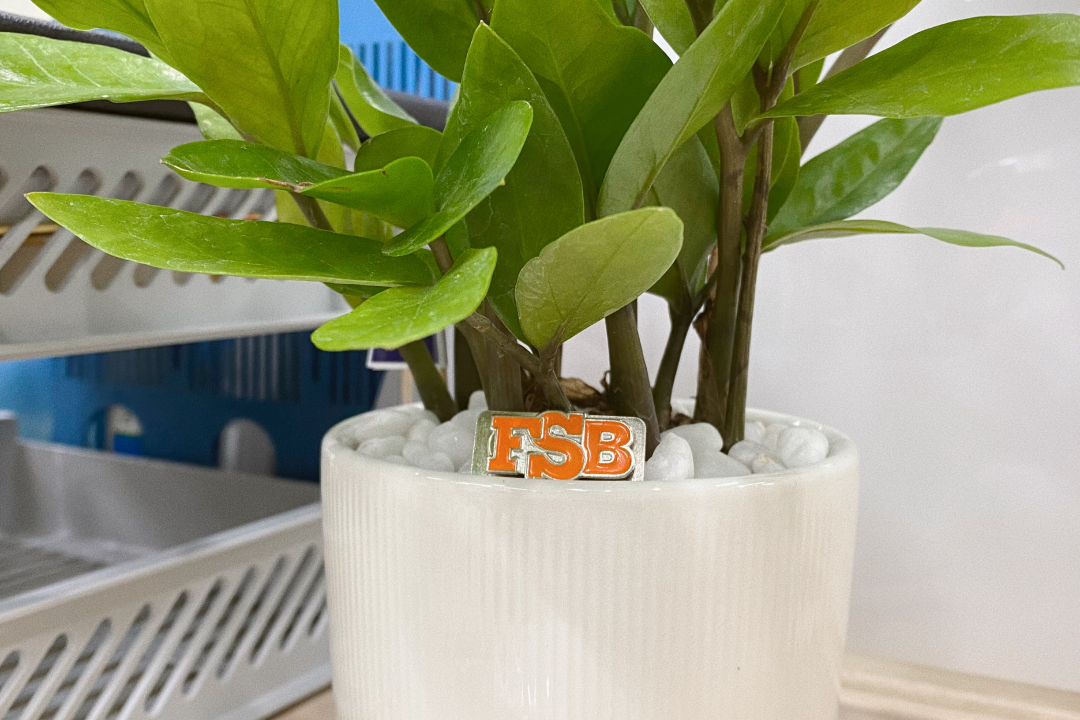 Minigame tìm huy hiệu FSB