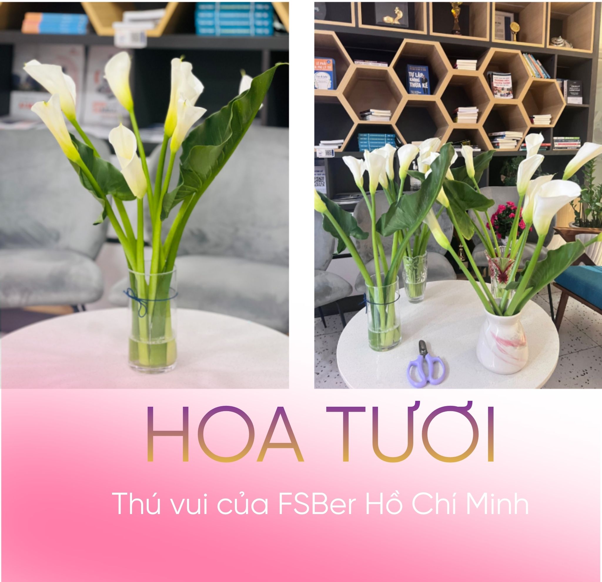 Những thú vui của FSBer Hồ Chí Minh mùa này