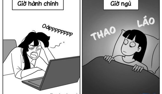 [J4F] Mẩu chuyện vui “Giấc ngủ trưa”