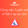 Công việc Tuyển sinh ở FSB ít áp lực lắm …