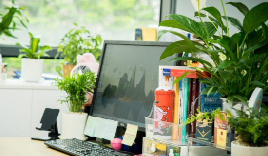 Những “góc xanh” dễ chịu tại FSB Hà Nội