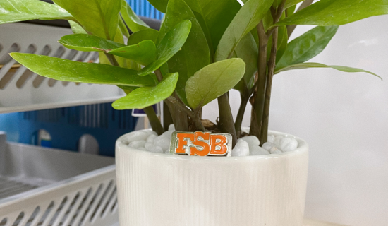 Minigame tìm huy hiệu FSB