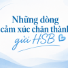 Từ trái tim những người đã gắn bó: Những dòng cảm xúc chân thành gửi HSB